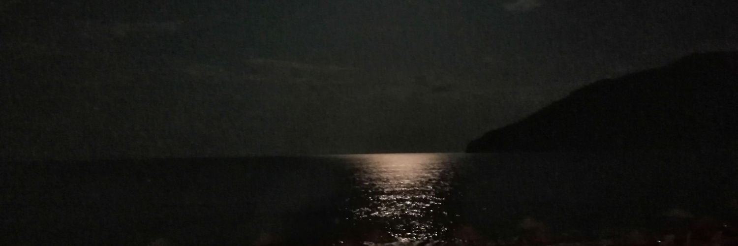 mesihafidan's profile banner image