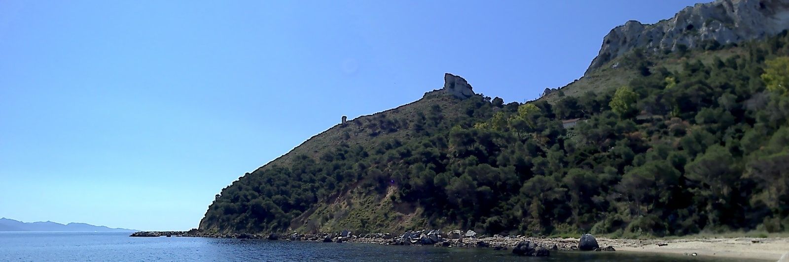 Paolo 🐼☭ banner