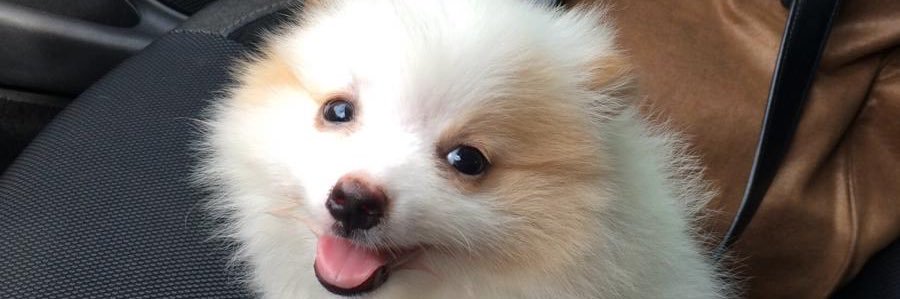 BrennoC06's profile banner image
