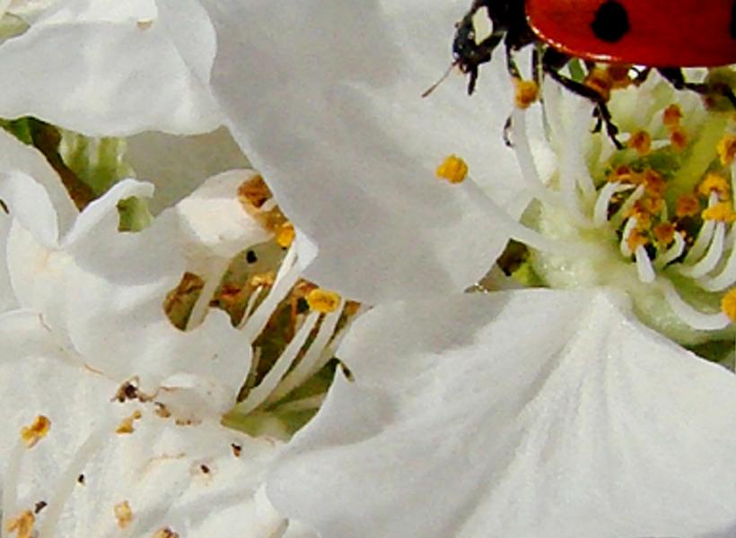 malulack's profile banner image