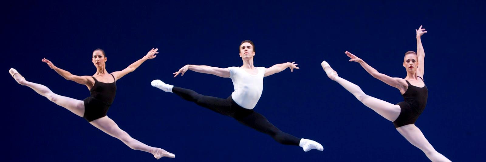 Theballetblogger banner