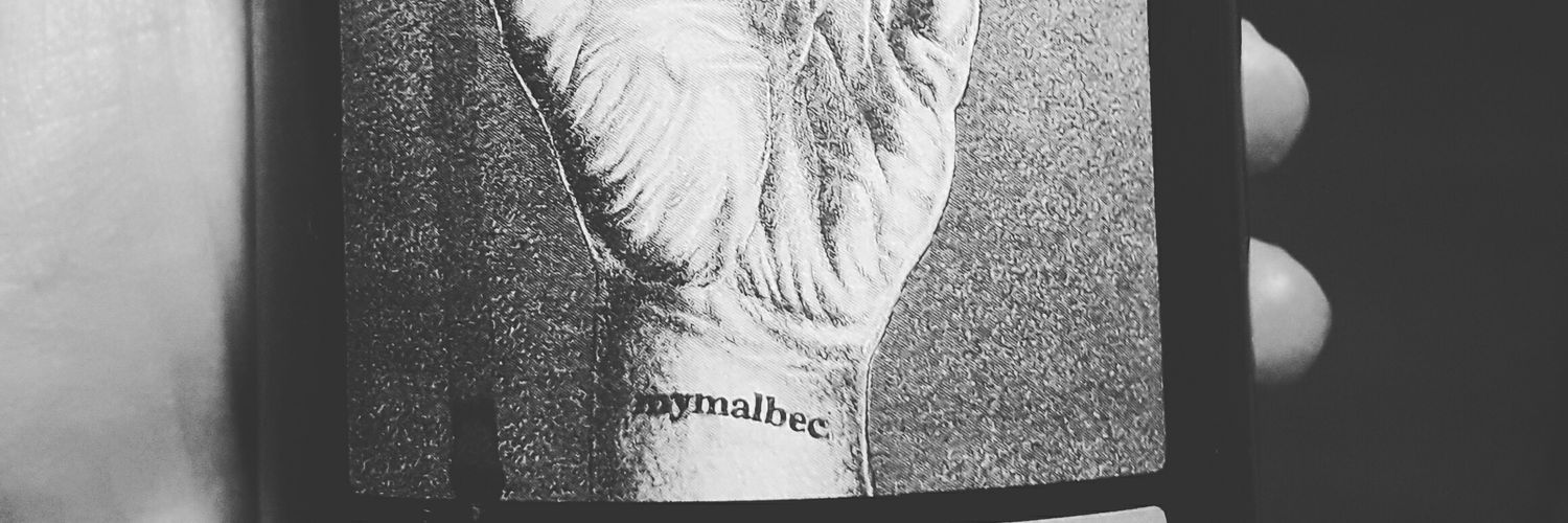 mechilaporte's profile banner image