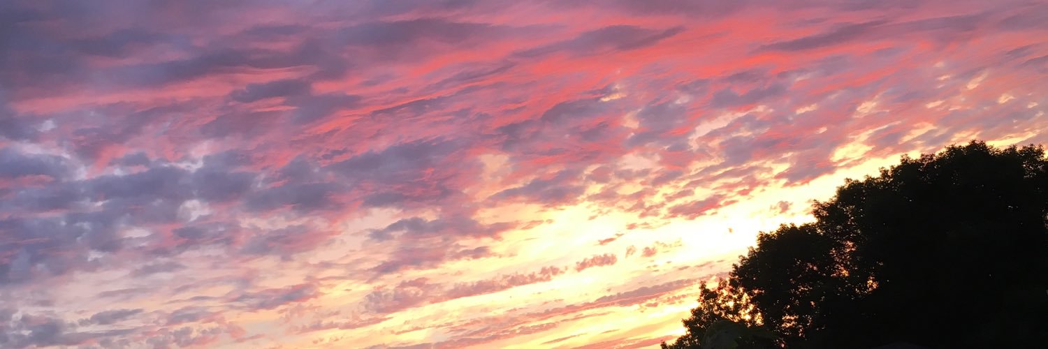 scrfxce's profile banner image