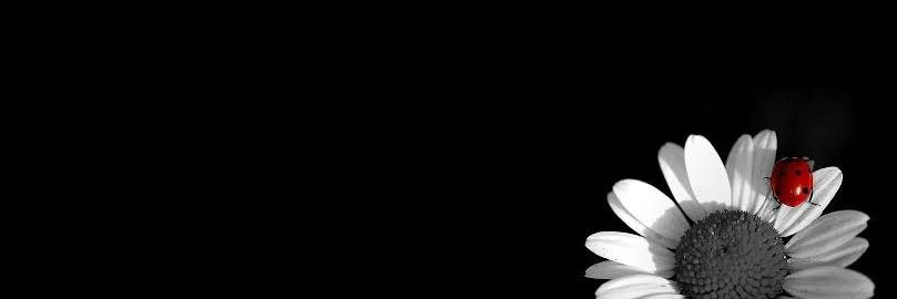 curlyfullmoon's profile banner image