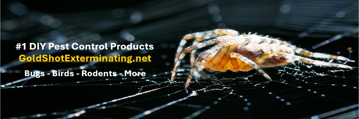 GoldshotExt's profile banner image