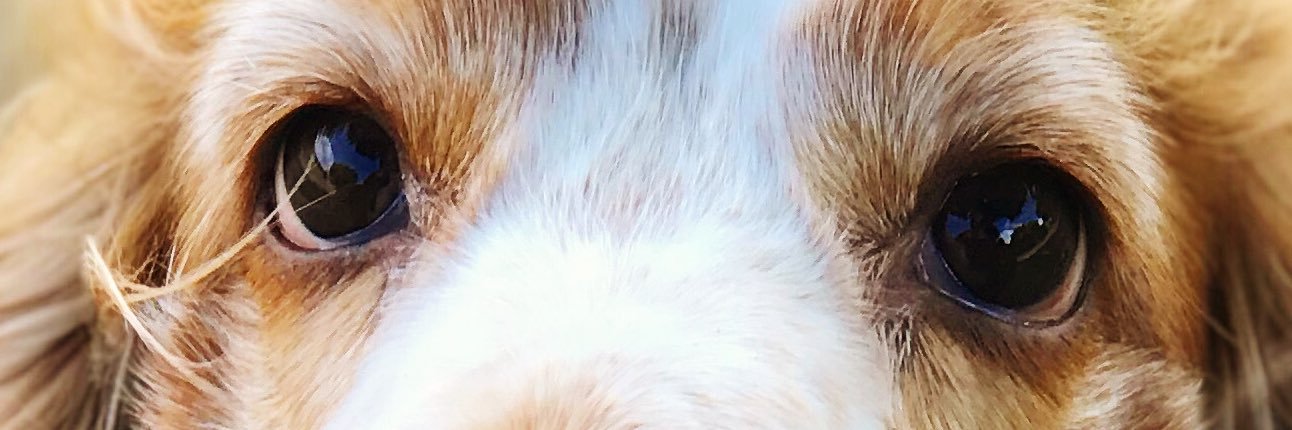 hcfnew's profile banner image