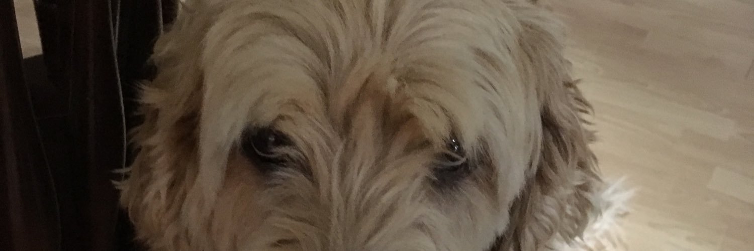 corey_vdm's profile banner image