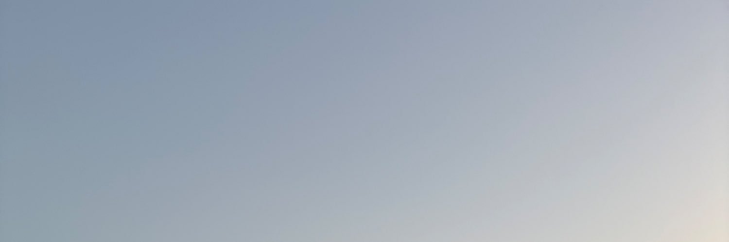 mctnemui's profile banner image