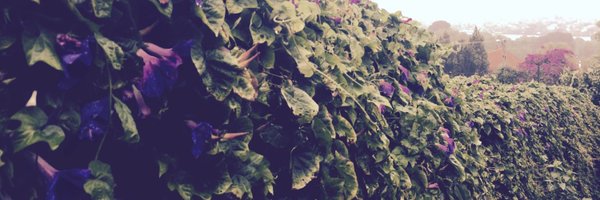 LovePollinator Profile Banner