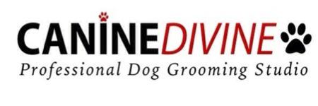 CanineDivine1's profile banner image