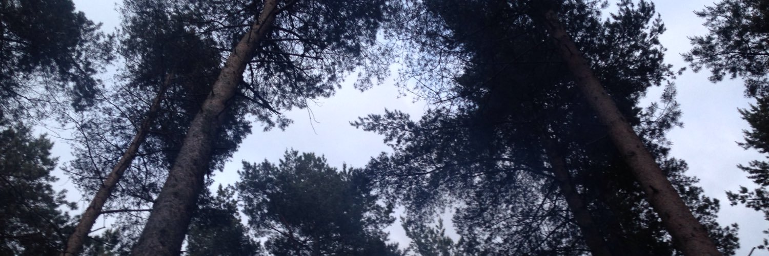 ClaireDallison's profile banner image