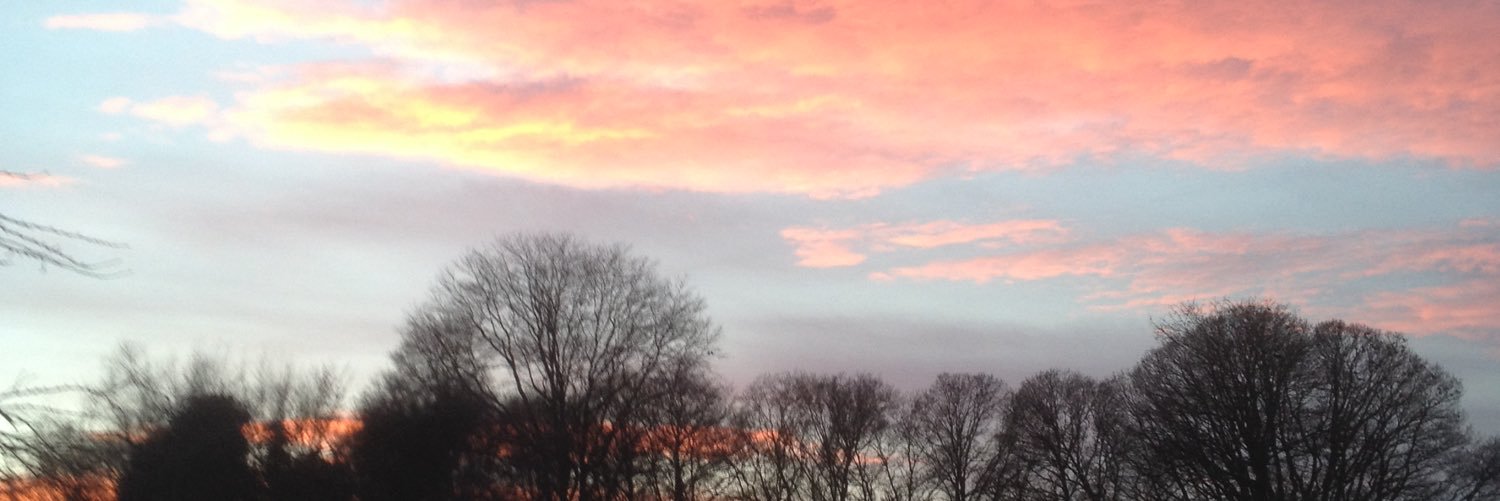 ranson_jo's profile banner image