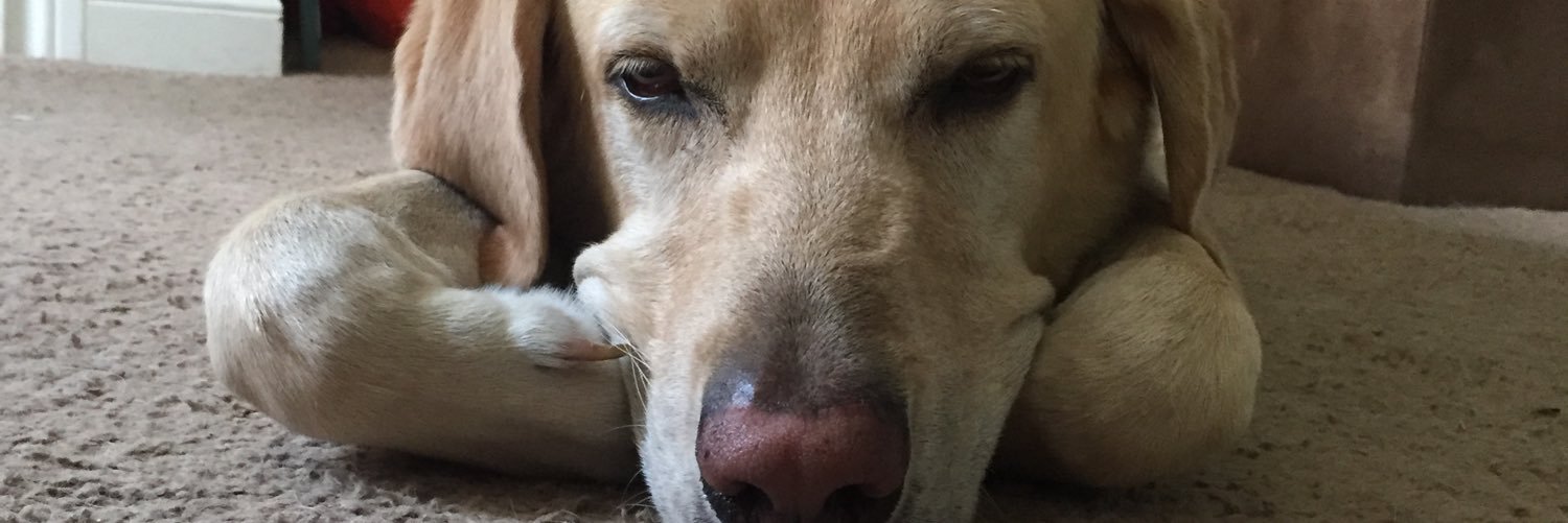 eabeauc's profile banner image