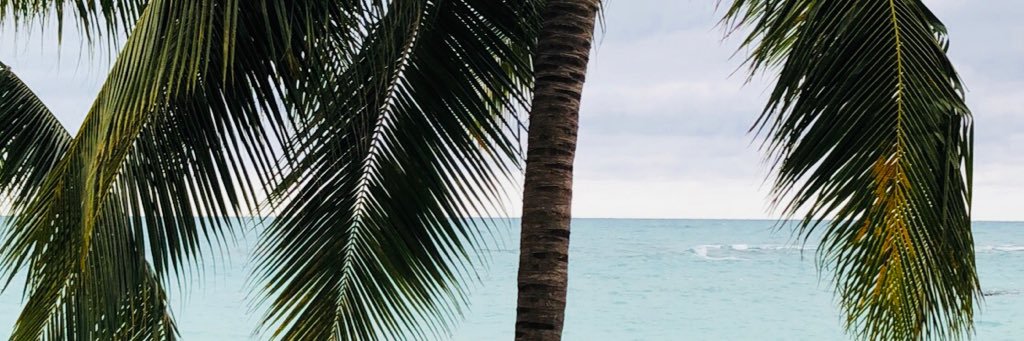 Nickro93's profile banner image