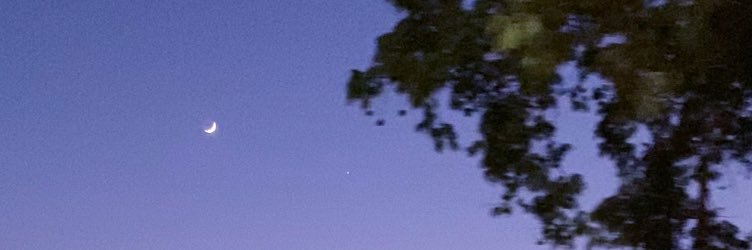 salmugh's profile banner image
