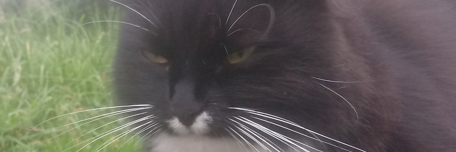RMagas's profile banner image