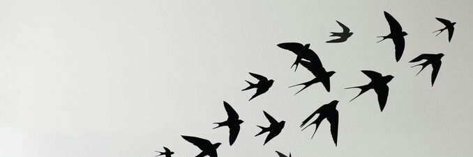 YolandaGO_'s profile banner image