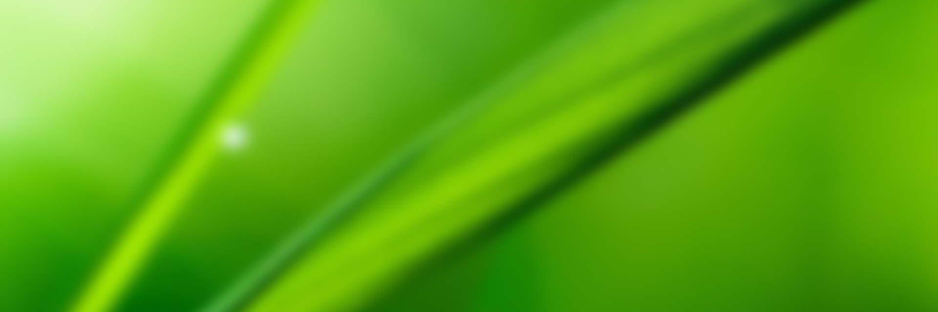 SunsentPress's profile banner image
