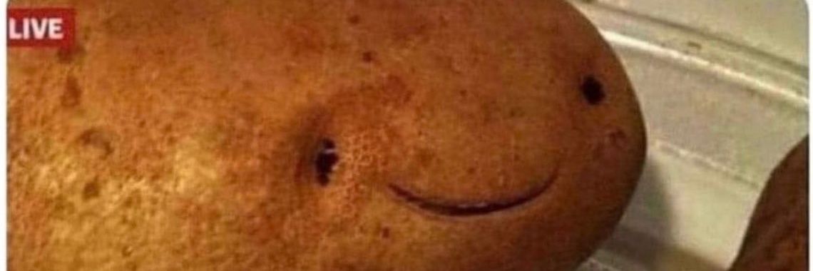 ZephryLoL's profile banner image