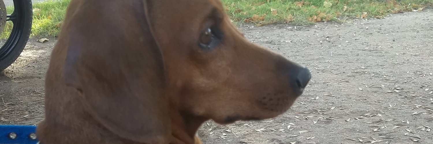 Cinperaltaa's profile banner image