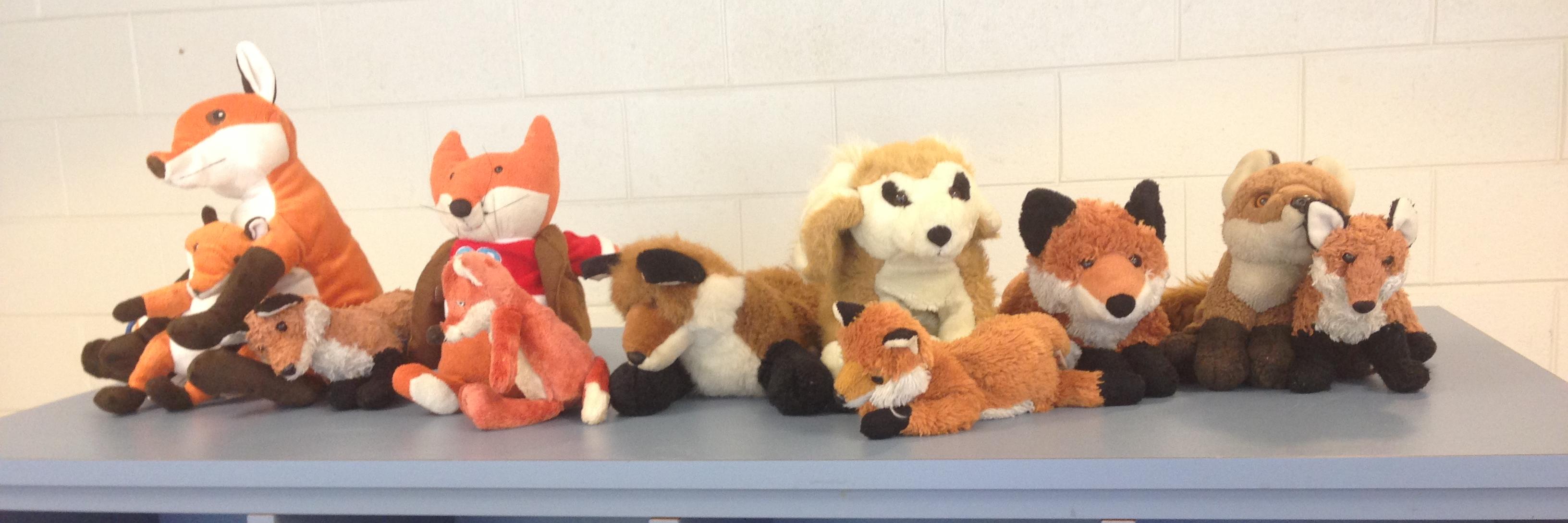 FoxTownStars's profile banner image