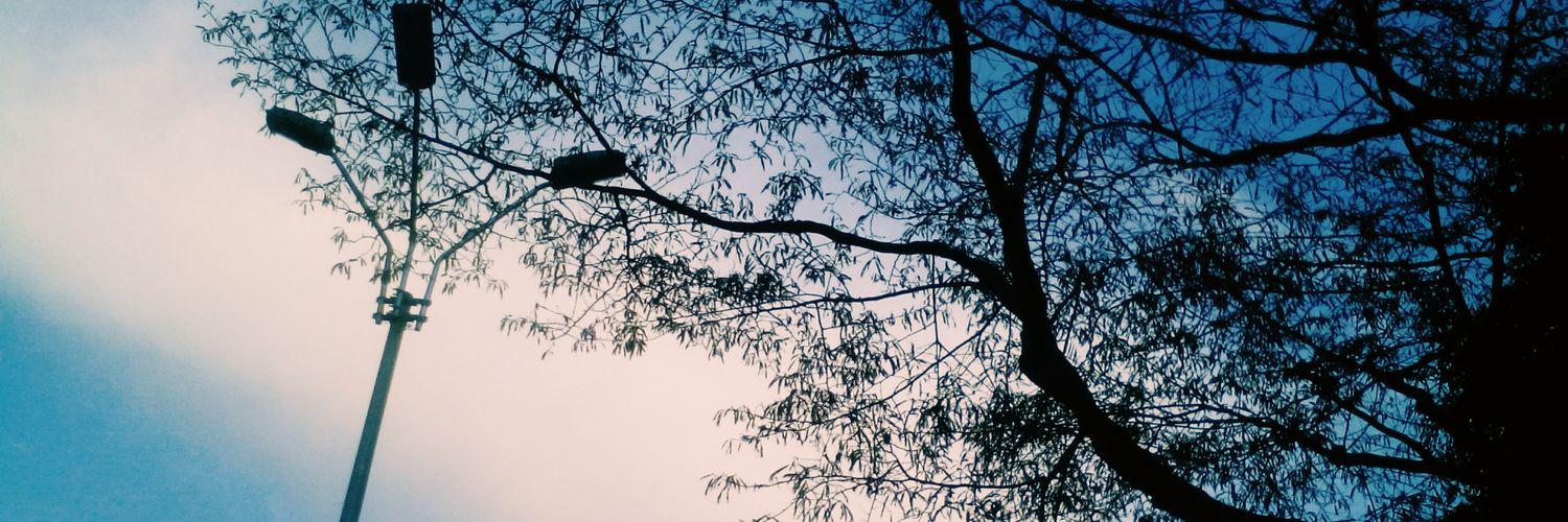 acid_midnight's profile banner image