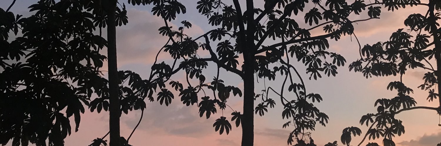 LopezCorreaK's profile banner image