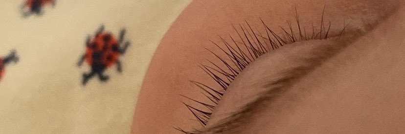 juliatherrera's profile banner image