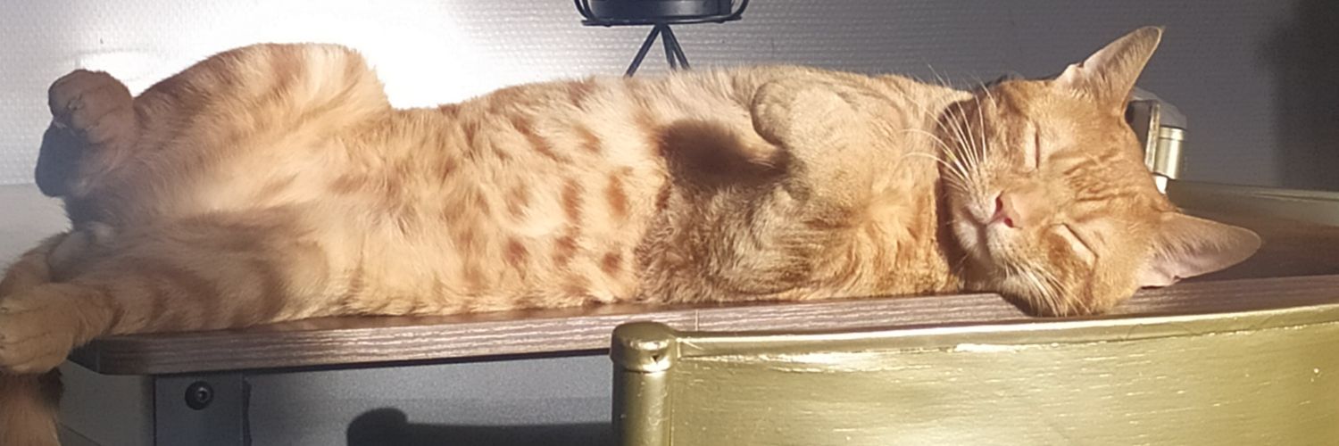 sarahce_8's profile banner image