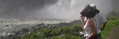 correctordisparates banner