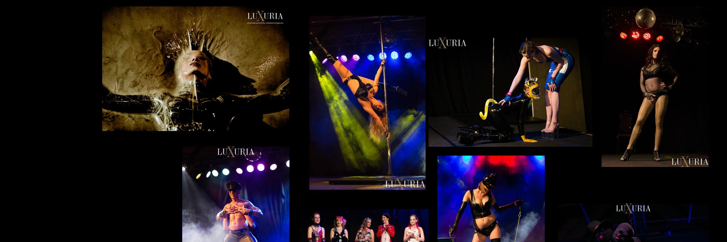 LuxuriaParty's profile banner image