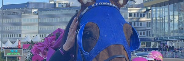 _kirstenelise Profile Banner