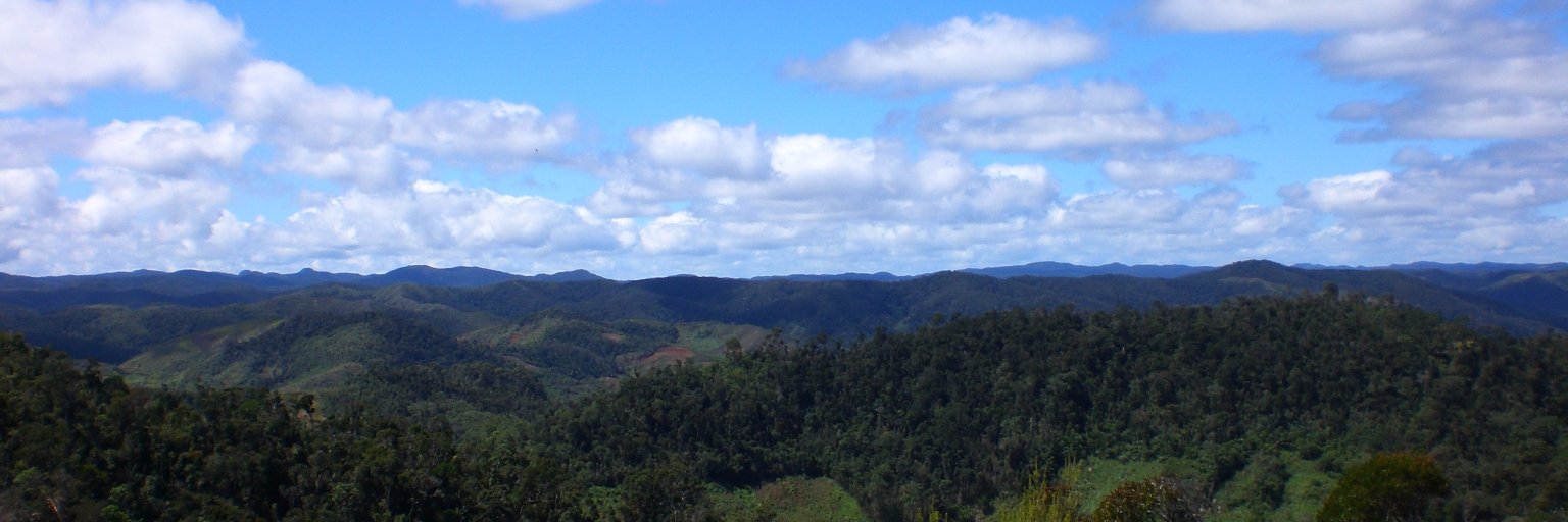 Dr Amanda Webber banner