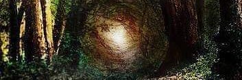 princess_nefer's profile banner image