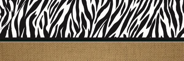 FaineElementary Profile Banner