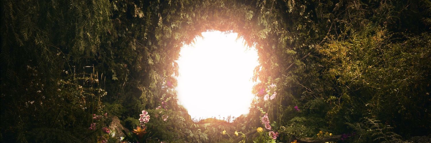 MelanieLBBHArg's profile banner image