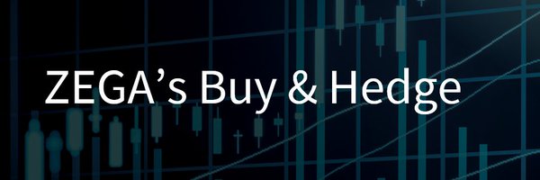 BuyAndHedge Profile Banner