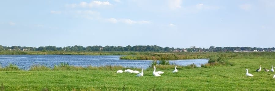 veenstra67's profile banner image