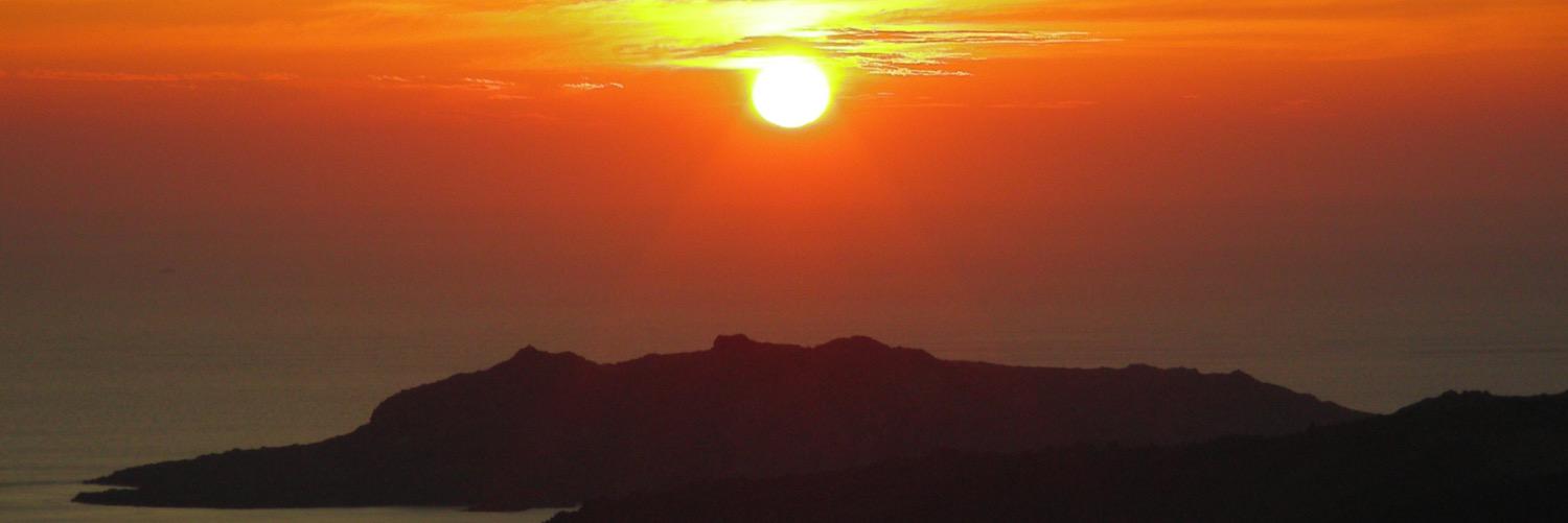 Geronimo_Pcr's profile banner image