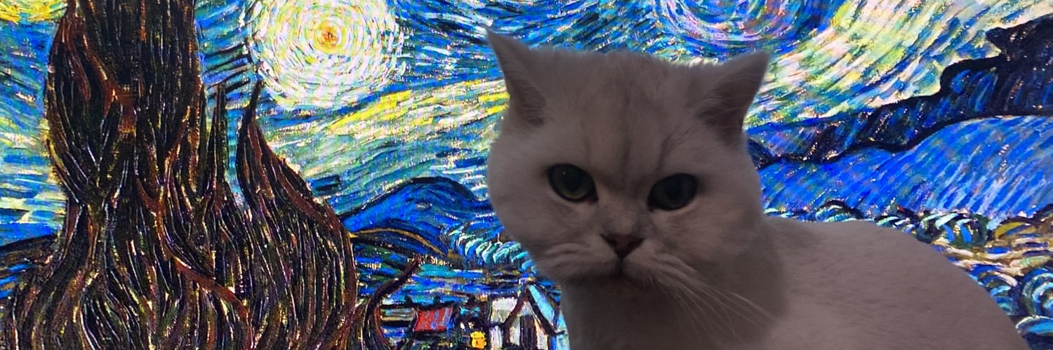 eneselrey's profile banner image