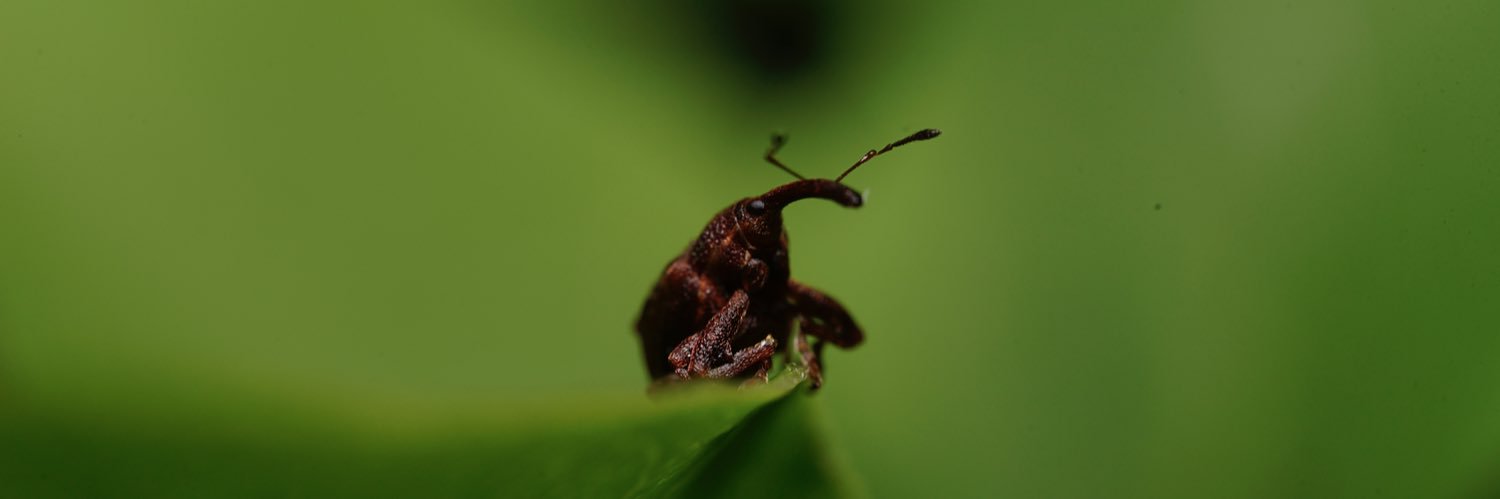 Christopher Chan- #BlackLivesMatter banner