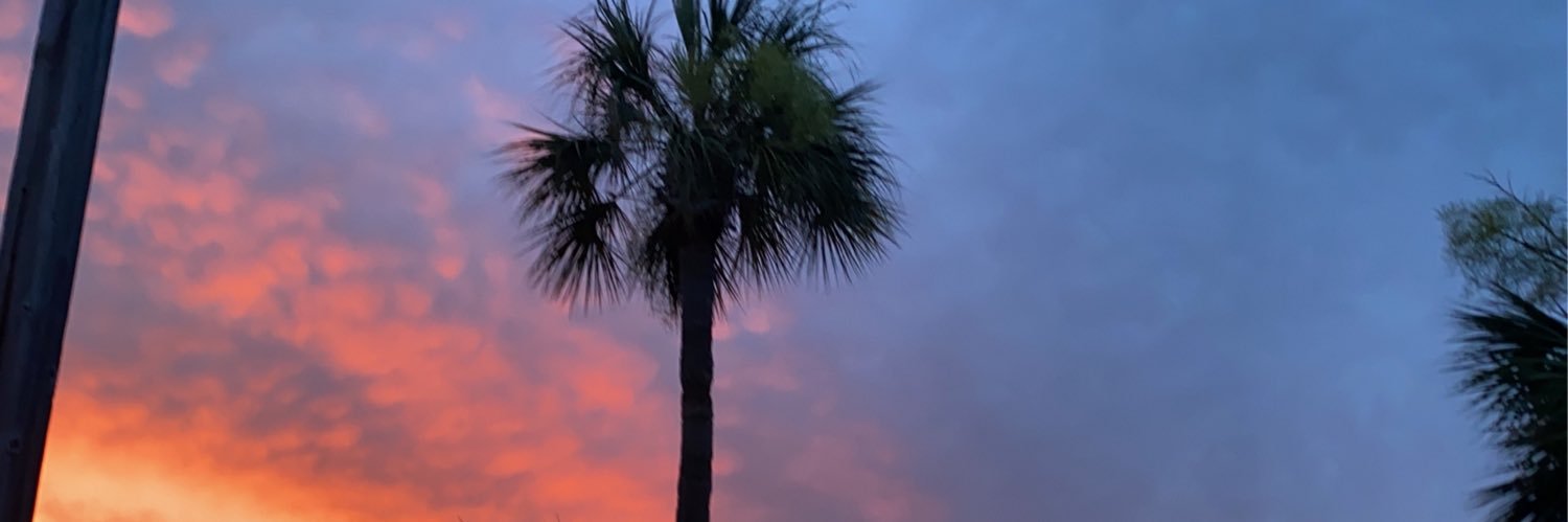 branpidg's profile banner image