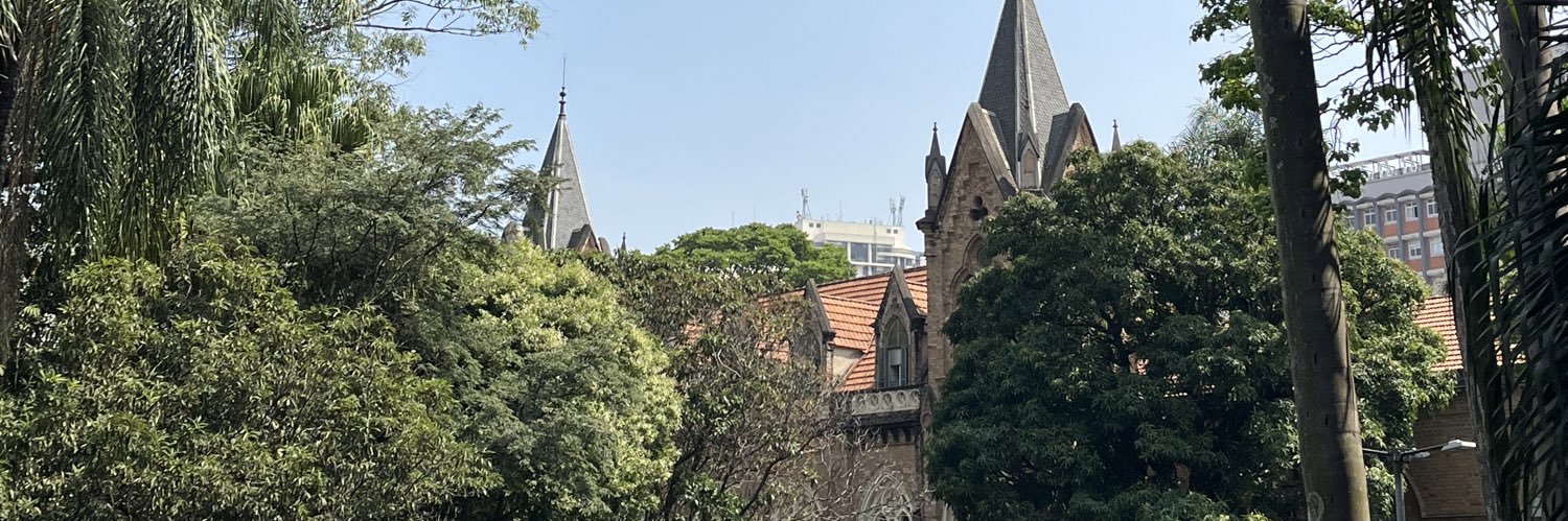 viimonteiro's profile banner image