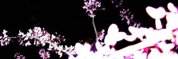 JayneBlok's profile banner image