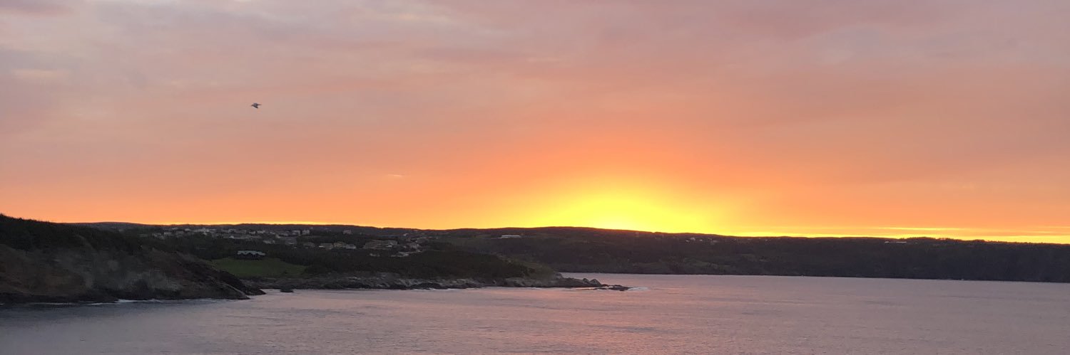 Laura Parrell banner