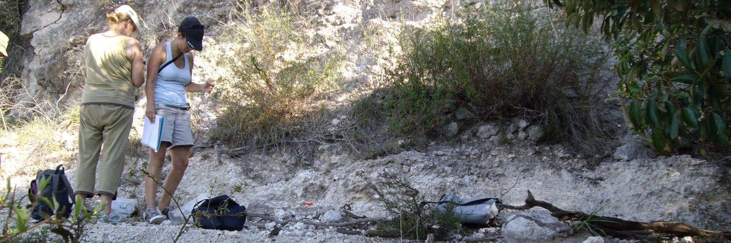 ⭐️⭐️⭐️Romi ⭐️⭐️⭐️ banner