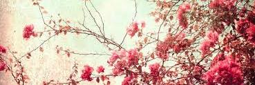 77MaryVillary's profile banner image