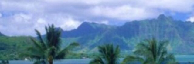 HAl3tel's profile banner image