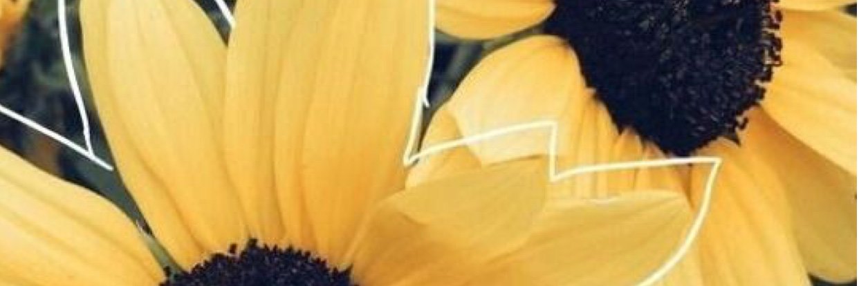 _agve22's profile banner image
