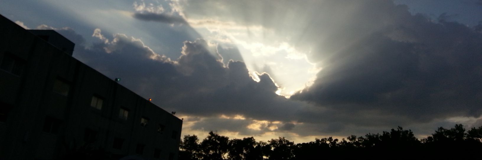 WalterReynolds's profile banner image